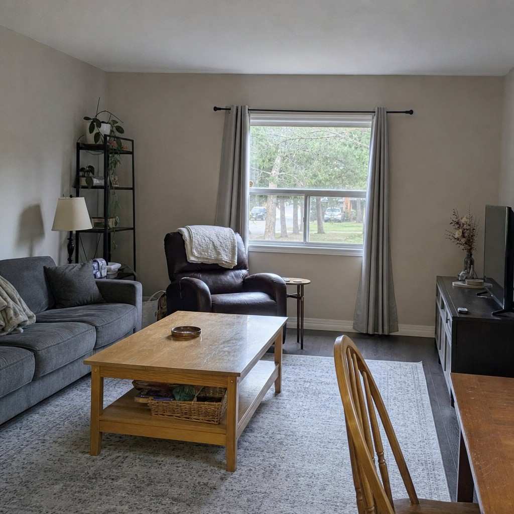 A modest living room with greige walls lit by cool north-facing daylight